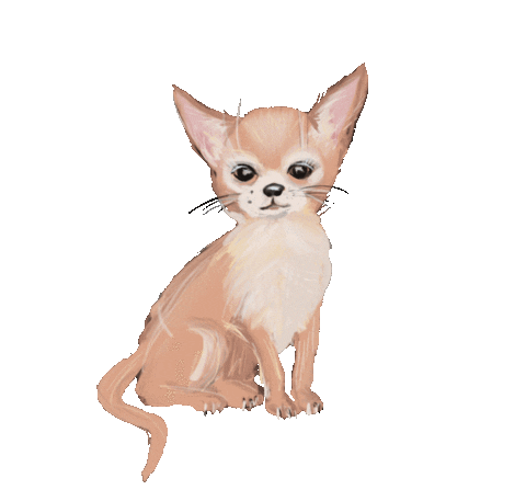 Dolce_vita_mo giphyupload dog festival yoga Sticker