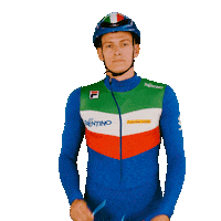 federazioneghiaccio ice wintersport sportinvernali speedskating Sticker