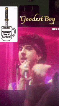 Marc Almond Goodest Boy GIF