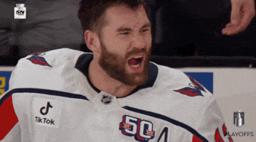 Stanley Cup Playoffs Crying GIF by NHL