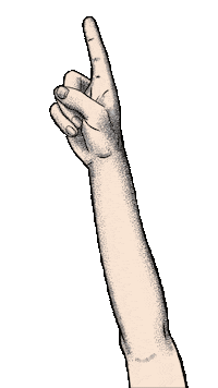 Karel Zeman Hand Sticker by Muzeum Karla Zemana