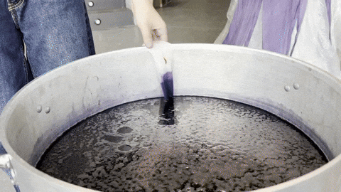 ainhoacadarso giphyupload GIF