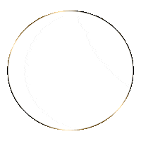 siobhansellsaz logo real estate new listing 3d logo Sticker