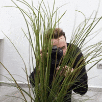 publydea foto fotografia fotografo publydea GIF