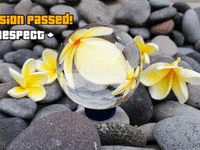 Franchise System GIF by FranchiseONE.de