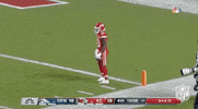 Regular Season Football GIF by NFL