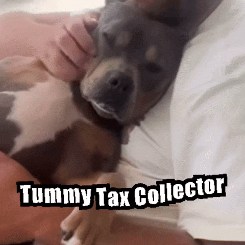 Tummy Tax Collector GIF by Bumruk