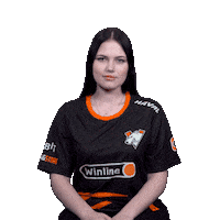 The Bears Esports Sticker by Virtus.pro