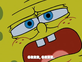 season 5 new digs GIF by SpongeBob SquarePants
