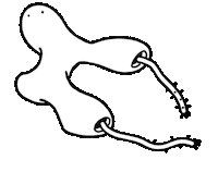 animation bug Sticker by Sculpture