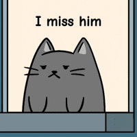 Lonely Relationships GIF by MESA My Emotional Support Animal