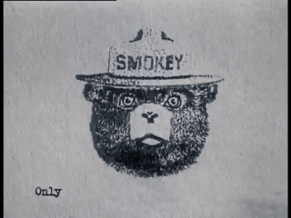 smokey bear animation GIF by HelpGood