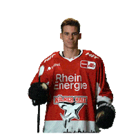 Goal Celebrate Sticker by Koelner Haie
