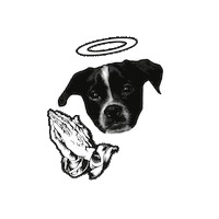 DopeStudio_Hamburg dog puppy dope content Sticker