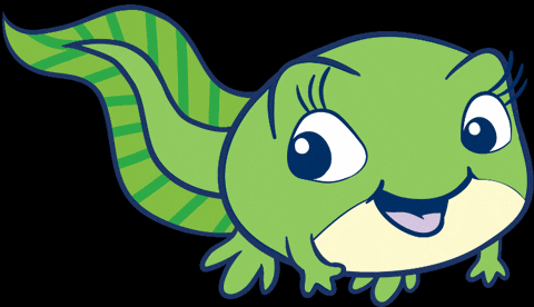 Swim Lessons Swimming GIF by AquaTots