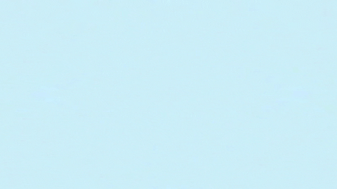 Art Design GIF by jorgemariozuleta
