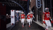 Football Nfl GIF by New England Patriots