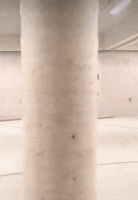 DualtoneMusicGroup happy dance dancing black GIF