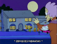 homer simpson GIF