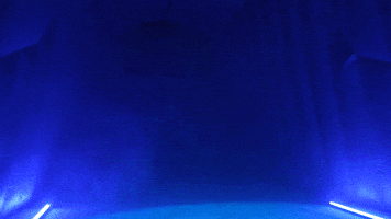 Keenan GIF by Toledo Walleye