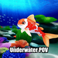 Koi Fish Video GIF by TheConfishius