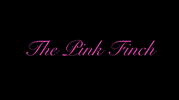 thepinkfinch the pink finch GIF