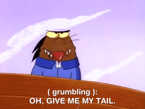 nickrewind giphydvr nicksplat angry beavers giphyab006 GIF