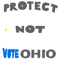 Text gif. Capitalized gray and white text against a transparent background reads, “Protect kids not guns, Vote Ohio.” Six tiny hands appear in the center of the text.