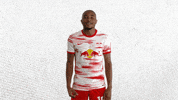 Football Soccer GIF by RB Leipzig