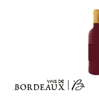 Happy New Year Cheers Sticker by Vins de Bordeaux