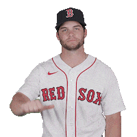 Red Sox Thumbs Down Sticker by Boston Red Sox
