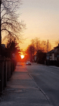 Summer Love GIF by Alex Monaco