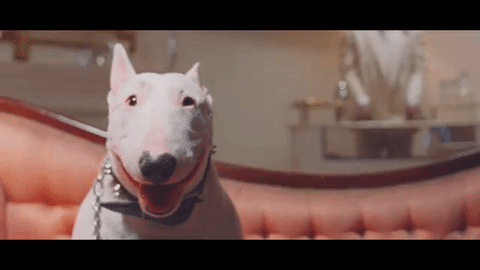 GIF by Island Records UK