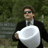 srtalisbela série selton mello doeu foi sem querer GIF