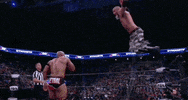Kung Fu Wrestling GIF by AEWonTV