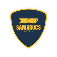 Samarucs_LGTBIQ_Valencia club esport valencia lgtb Sticker