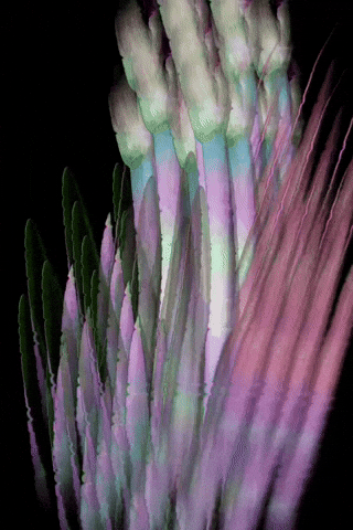 Glitch Flower GIF by Mollie_serena