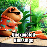 Gratitude Wisdom GIF by Guinea Gambino