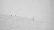 Snow Fail GIF by Outside TV
