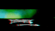 GIF by Earache Records