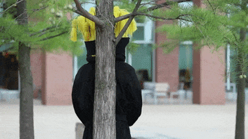 Wu_Shock wu wsu wearamask maskup GIF