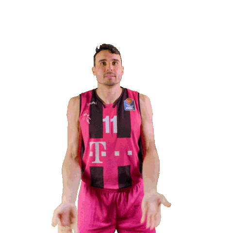 swipe up game on Sticker by easyCredit Basketball Bundesliga