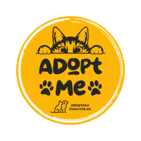 adoptesumascota cat gato adopt adoption Sticker
