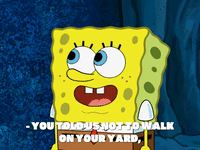 season 7 GIF by SpongeBob SquarePants