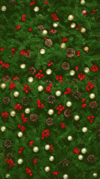 Merry Christmas GIF by Niedersachsen-Ticket