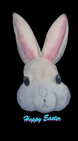 peggyroad giphygifmaker bunny rabbit easter GIF