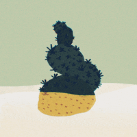 cruzarama water wave yellow mexican GIF