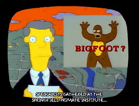 Season 1 GIF by The Simpsons