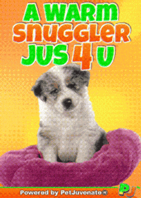 PetJuvenate petjuvenate henlo hooman fren love rescue dogs treatos and woofer for pupper GIF