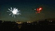 san francisco fireworks GIF by Doctor Popular